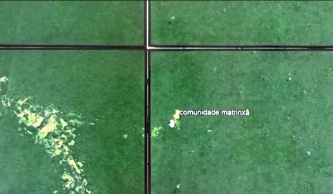 Três caçadores somem em área de floresta densa e mobilizam operação de busca no Acre