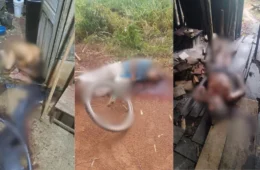 Três idosos são mortos em menos de 24 horas e polícia intensifica investigações em Itapuã do Oeste (RO)