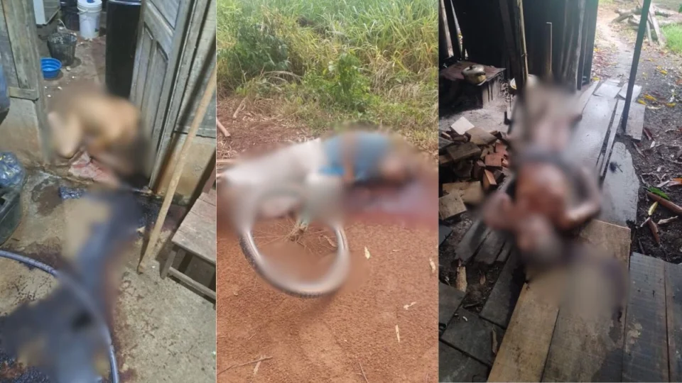 Três idosos são mortos em menos de 24 horas e polícia intensifica investigações em Itapuã do Oeste (RO)