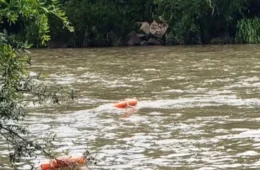Criança de um ano morre afogada em rio na zona rural de Alta Floresta do Oeste
