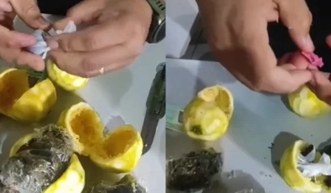 VÍDEO: mulheres são detidas ao tentar levar drogas escondidas em laranjas para presídio no Acre