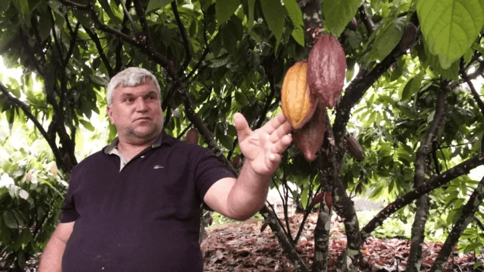 VÍDEO: Produtor de cacau supera desafios e impulsiona a economia no interior de Rondônia