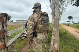 Operação Clandestina Extractio: Polícia Federal combate garimpo e extração ilegal de madeira em Rondônia