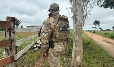 Operação Clandestina Extractio: Polícia Federal combate garimpo e extração ilegal de madeira em Rondônia