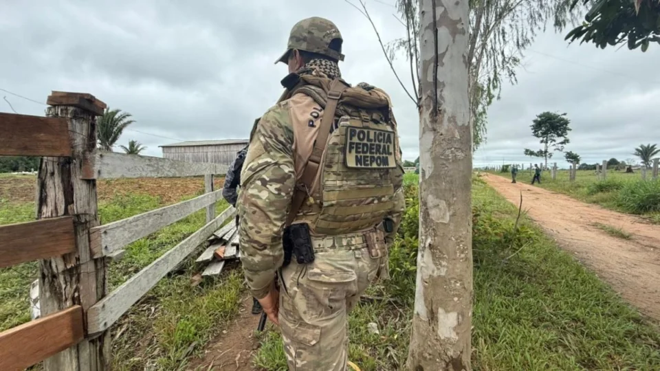 Operação Clandestina Extractio: Polícia Federal combate garimpo e extração ilegal de madeira em Rondônia