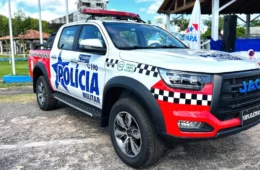 Plantação de maconha é descoberta em área de mata no município de Terra Alta, no Pará