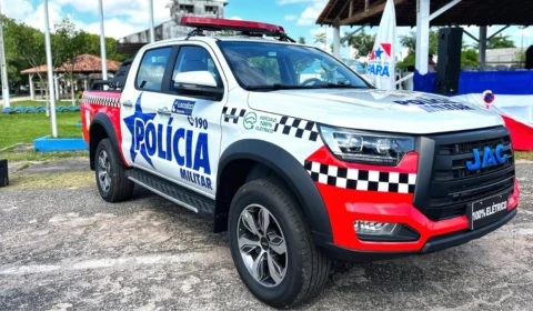 Plantação de maconha é descoberta em área de mata no município de Terra Alta, no Pará