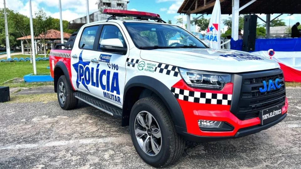 Plantação de maconha é descoberta em área de mata no município de Terra Alta, no Pará