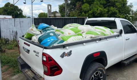 Homem é preso por furtos de insumos agrícolas em Caracaraí