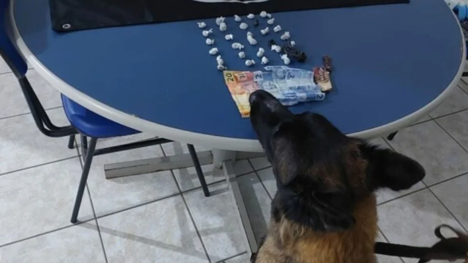 Cadeirante é preso com 29 pacotes de drogas escondidos em meia