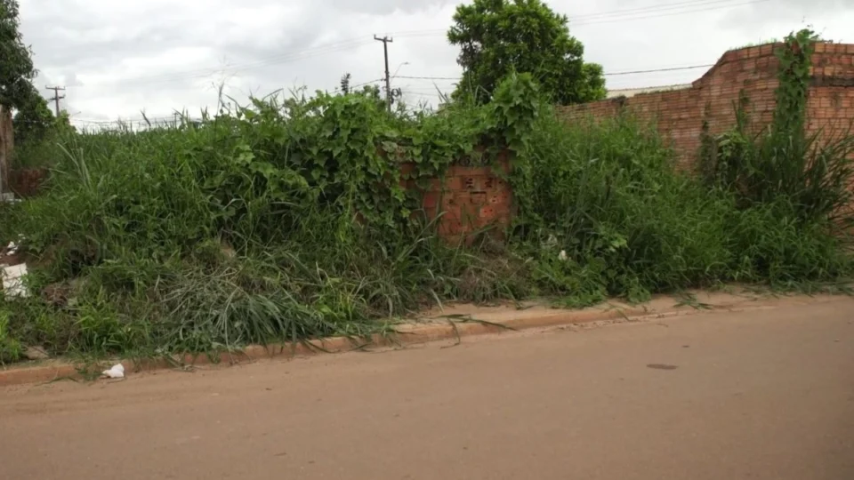 VÍDEO: Mato alto e descarte irregular em terreno abandonado afetam moradores do Três Marias em Porto Velho