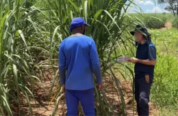 Acre lidera número de resgates por trabalho escravo na Região Norte em 2025