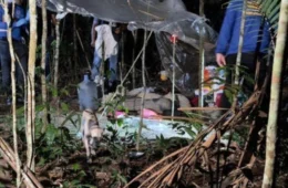 Homem suspeito de matar mulher encontrada em mata da Ufam é linchado