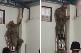 Jiboia é encontrada no telhado de shopping e mobiliza bombeiros em Manacapuru