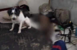 Vizinhos sentem mau cheiro e encontram homem morto em Manaus