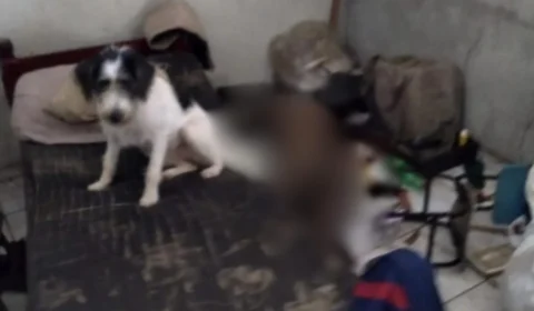 Vizinhos sentem mau cheiro e encontram homem morto em Manaus