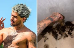 Zé Felipe raspa o cabelo e gera burburinhos nas redes; veja resultado