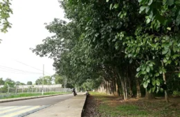 Quarta-feira será quente e ventilada, com chuvas rápidas e pontuais no Acre