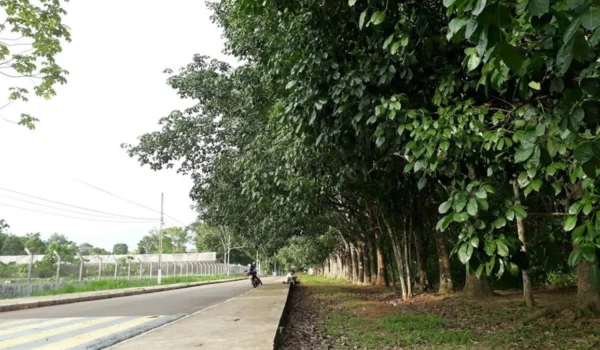 Quarta-feira será quente e ventilada, com chuvas rápidas e pontuais no Acre