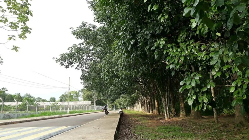 Quarta-feira será quente e ventilada, com chuvas rápidas e pontuais no Acre
